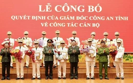 Vui vẻ 'cáo lão, từ quan'