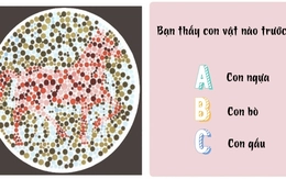 Quiz: Nhìn thấu tính cách của bạn chỉ sau vài giây