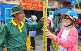 Hoan hỉ mua bán mía vàng trước ngày vía Ngọc Hoàng