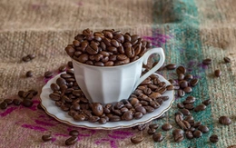 Người trẻ có nên sử dụng đồ uống có caffeine?