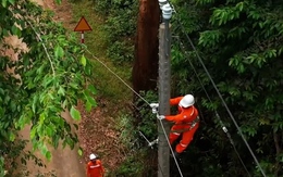 '50 năm - Tỏa sáng miền Nam': 10 năm thắp sáng đường quê