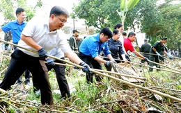 Ngày Đoàn viên cùng Chủ nhật xanh chung tay vì thành phố xanh