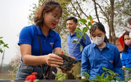 Ngày 'Đoàn viên': Bạn trẻ Hà Nội làm đẹp đường phố