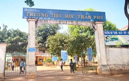 Hiệu trưởng buộc thôi việc nhân viên kế toán trái quy định