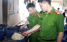 Công an Nghệ An bắt 4 người sản xuất 3.500 tấn giá đỗ 'ngậm' hóa chất