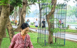 Nhiều cây xanh ở công viên Thống Nhất của Hà Nội phải mang 'gông cùm'