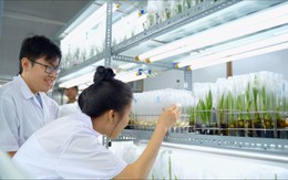 Cùng Bạn Chọn Ngành: Ngành Công nghệ sinh học ở trường Đại học Trà Vinh