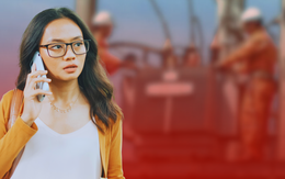 Ngành điện cảnh báo tình trạng giả danh nhân viên điện lực, giả luôn website để lừa đảo