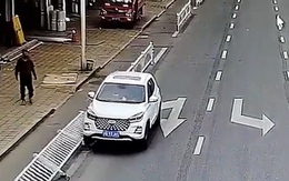 Để thú cưng trong xe hơi đang nổ máy, chủ xe suýt gây họa cho người đi đường