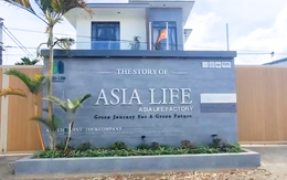 Công ty cổ phần Asia Life sản xuất kẹo Kera bị đề nghị xử phạt hơn 224 triệu đồng