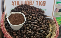 Giá cà phê thế giới quay đầu tăng, xuất khẩu cà phê Việt Nam có thể đạt đến 8 tỉ USD