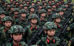 Chính phủ: Chủ động chuẩn bị, tổ chức lễ diễu binh, duyệt binh dịp 80 năm Quốc khánh