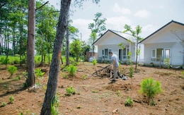 Yêu cầu xử nghiêm vụ xây dựng nhiều nhà tiền chế trên đất nông nghiệp