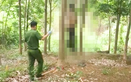 Đi săn nấm mối, phát hiện thi thể nam giới đang phân hủy treo trên cây cao su