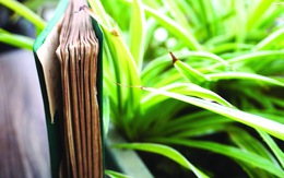 Những quyển sổ cũ của ông nội