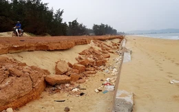 Bình Định chấm dứt dự án kè chống xói lở gần 80 tỉ đồng