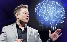 Công nghệ của Elon Musk có thể giúp xóa mù?