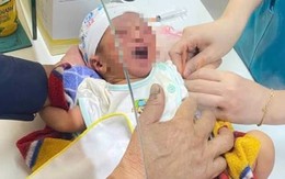 Tìm cha mẹ của bé gái sơ sinh bị bỏ rơi ở cánh đồng
