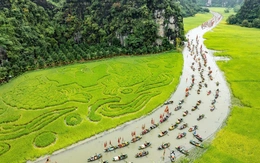 Lúa chín gọi mời, Ninh Bình khai hội ‘Sắc vàng Tam Cốc - Tràng An’