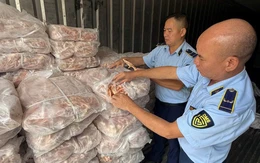 Chống buôn lậu, hàng giả 27-5: Gần 10 tấn chân gà đông lạnh không rõ nguồn gốc, xuất xứ