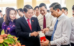 Đề nghị tạo 'luồng xanh' cho vải thiều Bắc Giang vào Trung Quốc