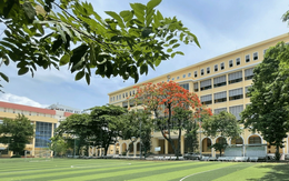 Trường Đại học Y Dược TP.HCM
