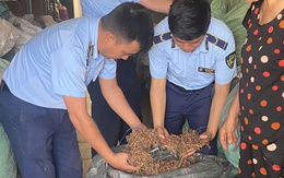 Chống buôn lậu, hàng giả