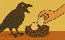 Câu thành ngữ quen thuộc này là gì? (P32)
