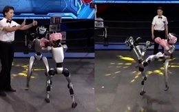 Robot hình người đấu quyền anh như võ sĩ chuyên nghiệp