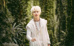 Giữa ồn ào Jack kiện Thiên An, netizen lại hướng sự chú ý đến chiếc lightstick