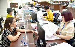 Chính phủ phấn đấu giảm ít nhất 20% công chức, viên chức sau sắp xếp bộ máy