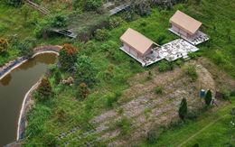 'Ốc đảo' hoang sơ hiếm có giữa sông Hồng ở Hà Nội bị 'xẻ thịt', chủ vi phạm tránh mặt