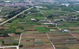 Hà Nội: Sẽ đấu giá 50 thửa đất tại huyện Mỹ Đức