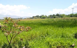 Dự án chợ ở Ninh Thuận gần 10 năm vẫn còn trên giấy
