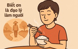 Đây là câu tục ngữ gì? (P15)
