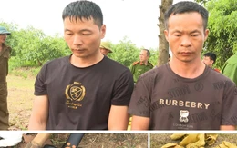 Tạm giữ hình sự hai nghi phạm Trung Quốc xâm phạm lăng mộ vua Lê Túc Tông