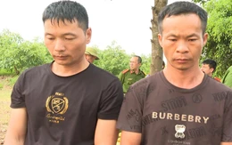 Tạm giữ hình sự hai nghi phạm Trung Quốc xâm phạm lăng mộ vua Lê Túc Tông
