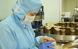 Cách lựa chọn hoạt chất Fucoidan chất lượng cho sức khỏe gia đình