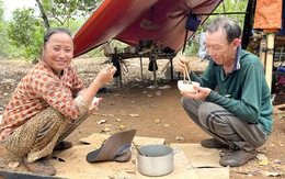 Đời hái lượm thuê