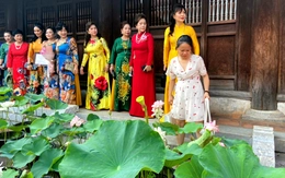 Mang cả hồ sen đến sân Văn Miếu Quốc Tử Giám