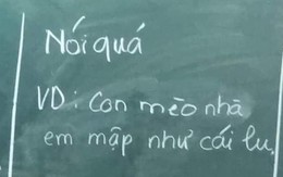 Ảnh vui 11-6: Dùng biện pháp nói quá để tả con mèo