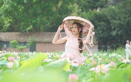 Góc nhìn trưa nay | Về Ninh Bình ngắm mùa sen nở đẹp mê đắm lòng người