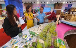 Ninh Thuận mang đặc sản đến TP.HCM 'chào hàng', tìm kiếm đối tác