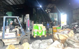 Đồng Nai tiêu hủy hơn 30 tấn vú heo, dồi trường heo, sụn gà bẩn