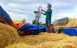 Thương hồ theo những mùa rơm