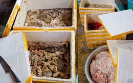 Phát hiện cơ sở xả thải ô nhiễm, thu giữ 3,5 tấn mỡ và lòng động vật không rõ nguồn gốc