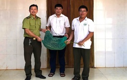Con trăn 21kg vào nhà bắt gà, dân bắt giao lực lượng bảo vệ rừng