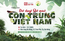 Triển lãm đầu tiên về đa dạng côn trùng Việt Nam của ĐH Duy Tân và Trường ĐH Đà Lạt