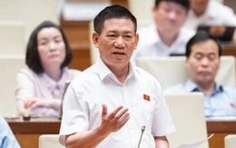 Phó thủ tướng Hồ Đức Phớc: Hộ kinh doanh có doanh thu dưới 1 tỉ đồng nên thu thuế khoán