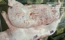 Heo sau giết mổ phát hiện bệnh lý về da, xử lý thế nào?